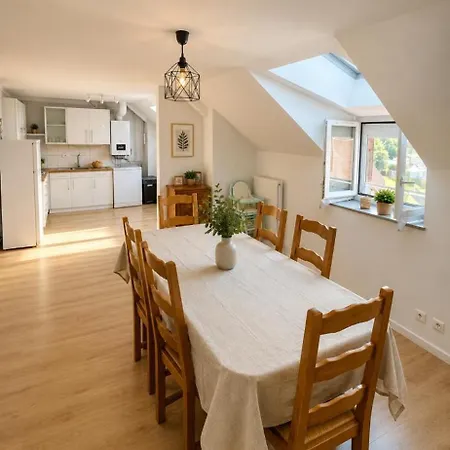 Grand 2 Lumineux Apartment Corcieux