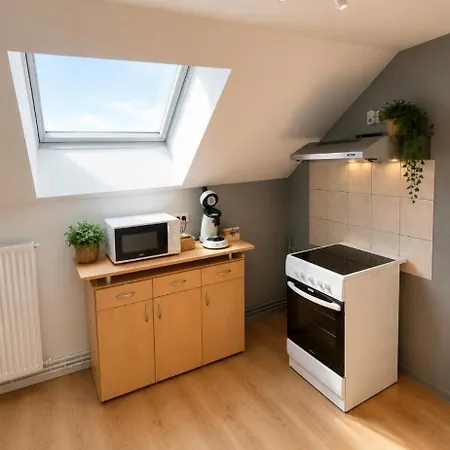 Apartment Grand 2 Lumineux Corcieux